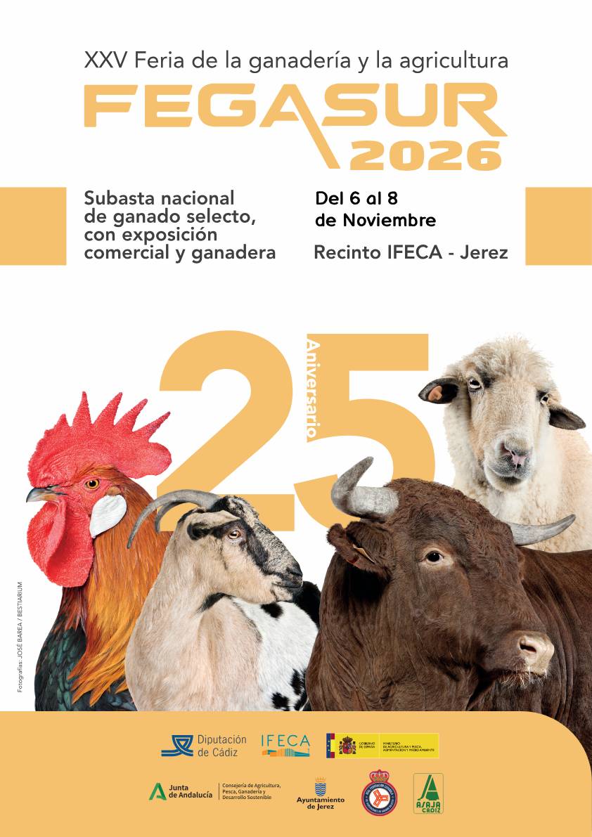 FEGASUR 2026 (25ª Edición)