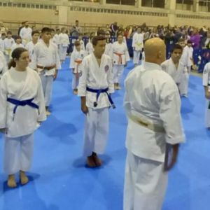 ZONA TATAMI