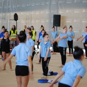 TAPIZ GIMNASIA RTMICA