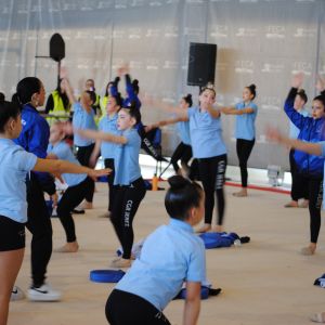 TAPIZ GIMNASIA RTMICA 2