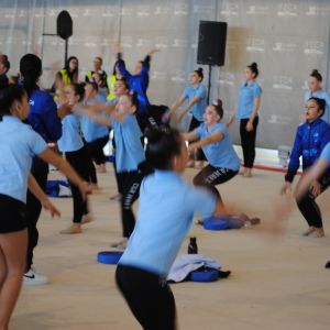 TAPIZ GIMNASIA RTMICA 3