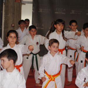 TATAMI  JUDO