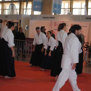 TATAMI DEFENSA PERSONAL 2