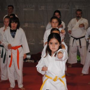 TATAMI JUDO 2