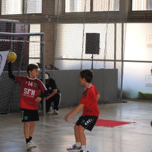 ZONA BALONMANO