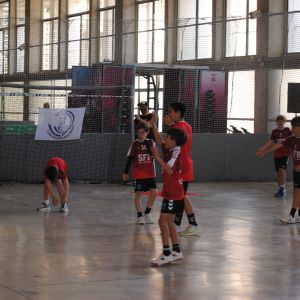ZONA BALONMANO 2