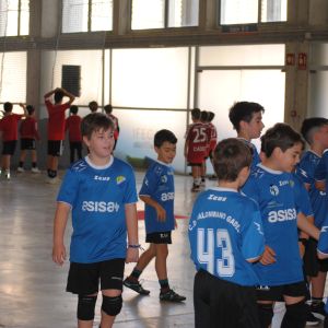 ZONA BALONMANO 3