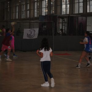 ZONA BALONMANO 4