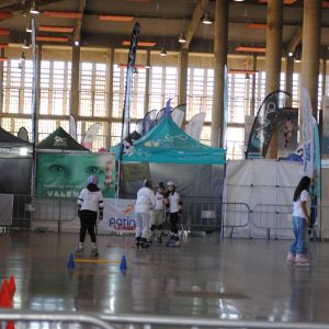 ZONA PATINAJE EN LNEA